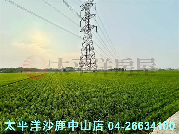 台中大肚農地-2