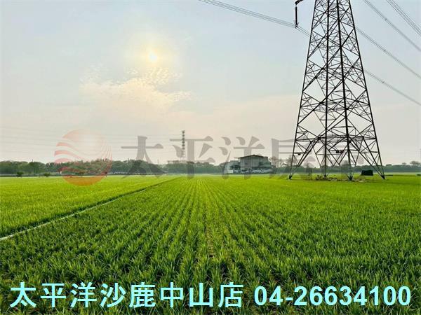 台中大肚農地-3