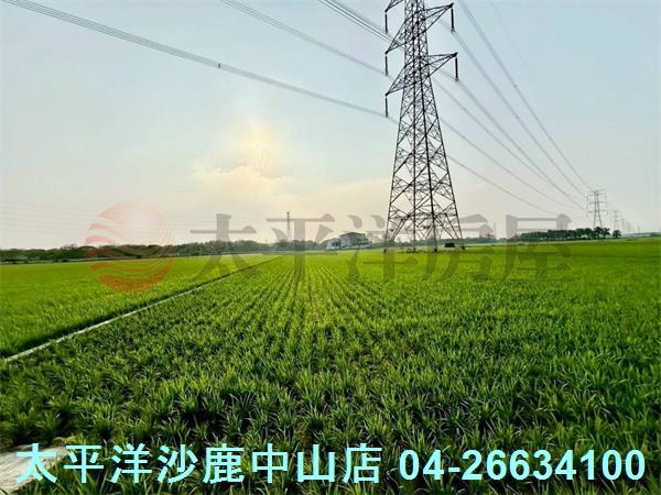 台中大肚農地-4