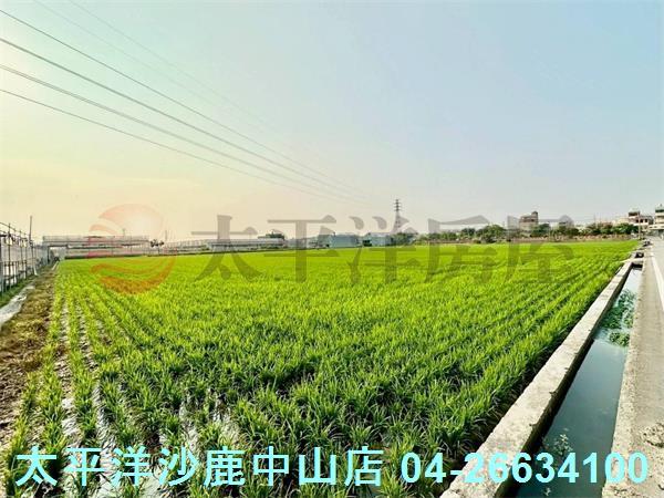台中大肚農地-3