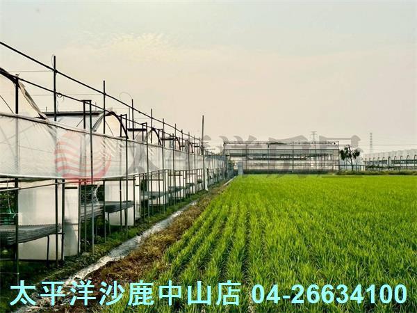 台中大肚農地-6