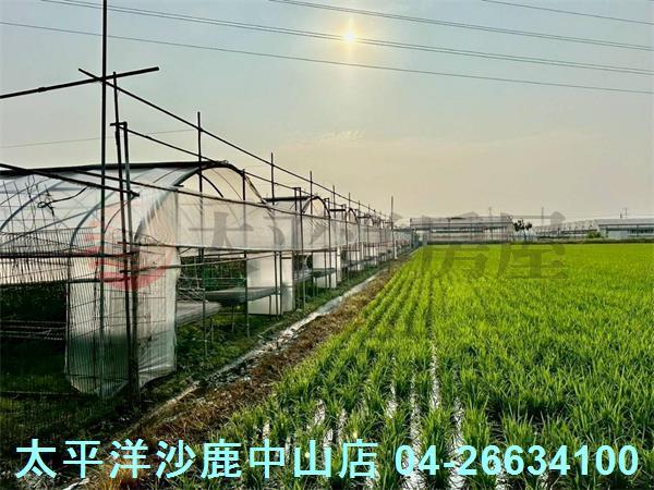 台中大肚農地-8
