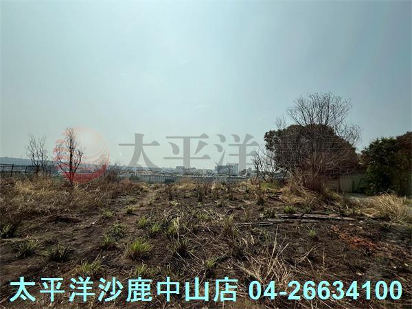台中沙鹿建地-2