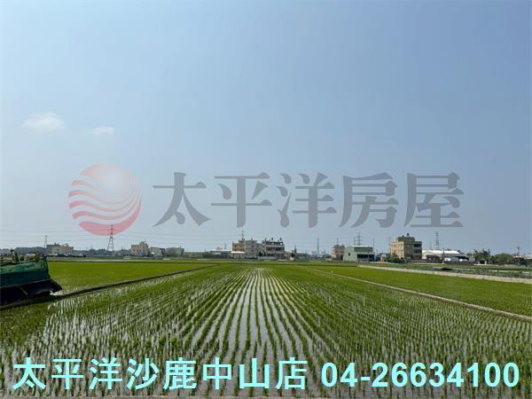 台中龍井農地-0