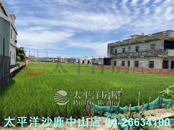 龍井農地-0