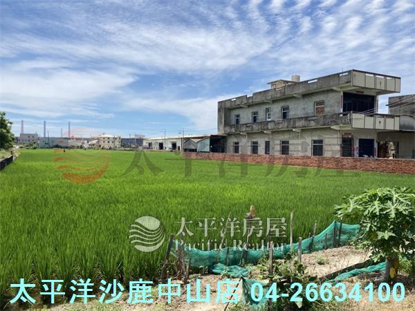 龍井農地-1