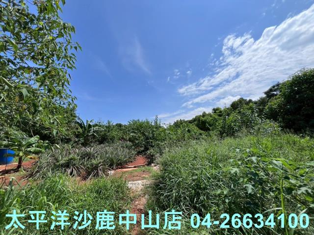 台中保護地-0