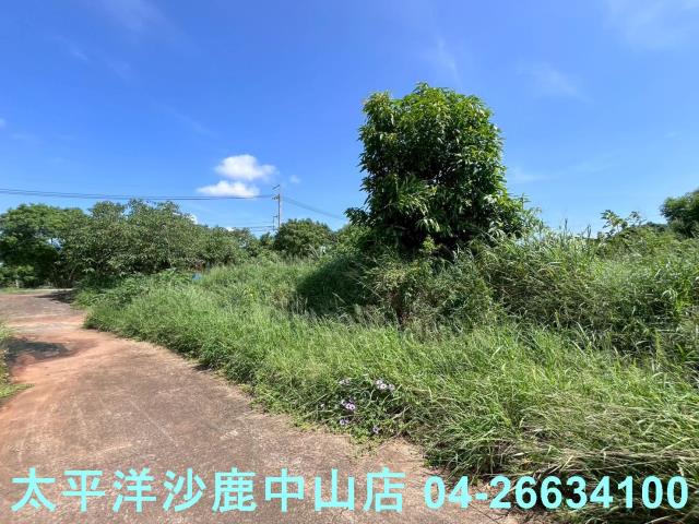 台中保護地-1
