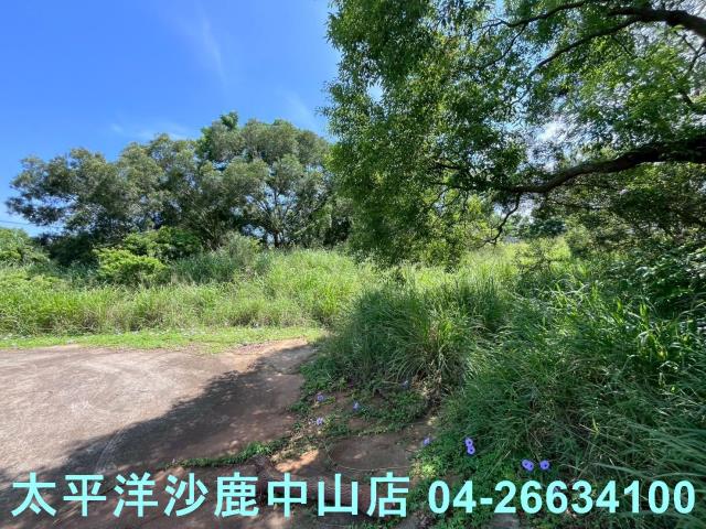 台中保護地-2