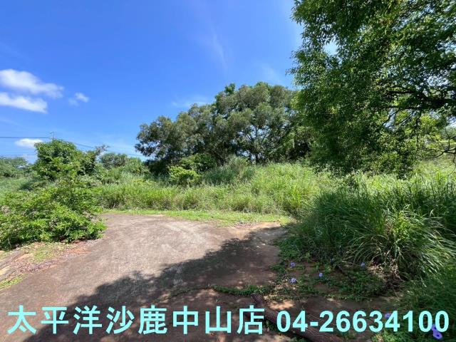 台中保護地-3