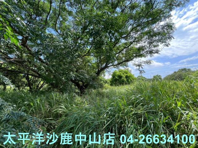 台中保護地-4