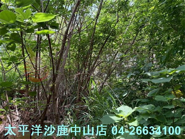 台中沙鹿建地-0