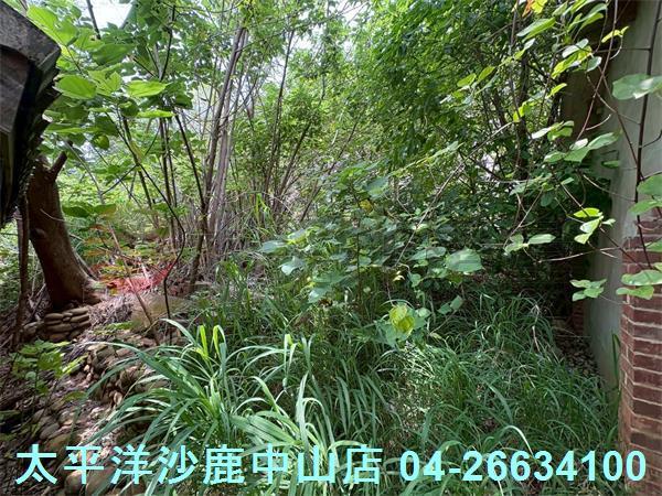 台中沙鹿建地-1