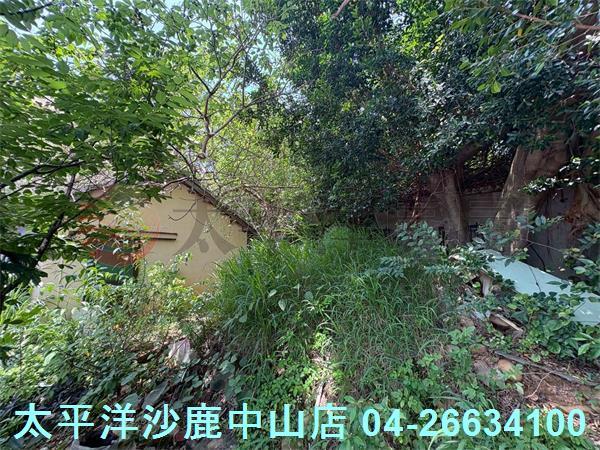 台中沙鹿建地-3