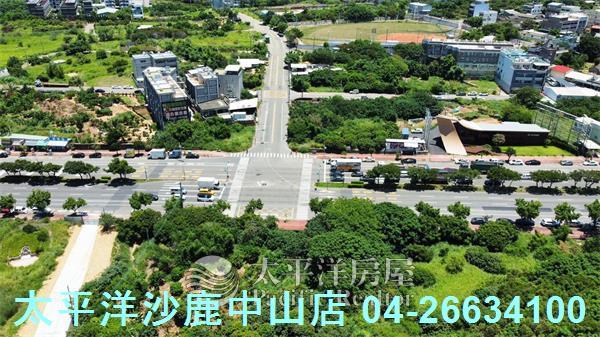 台中沙鹿保護地-1