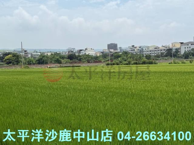 沙鹿建地-4