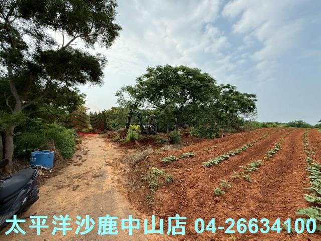 沙鹿保護地-2
