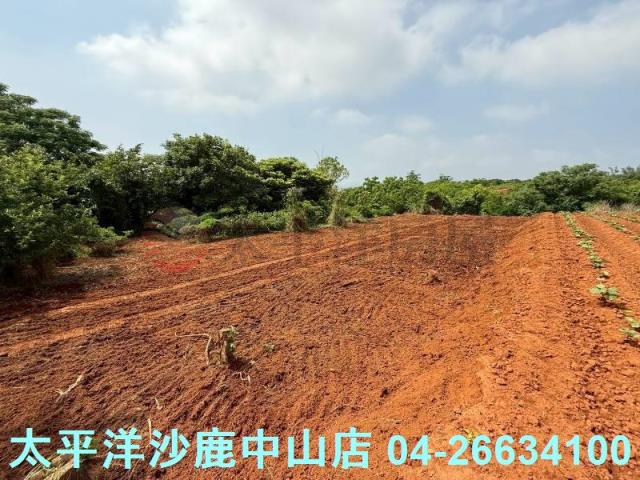 沙鹿保護地-3