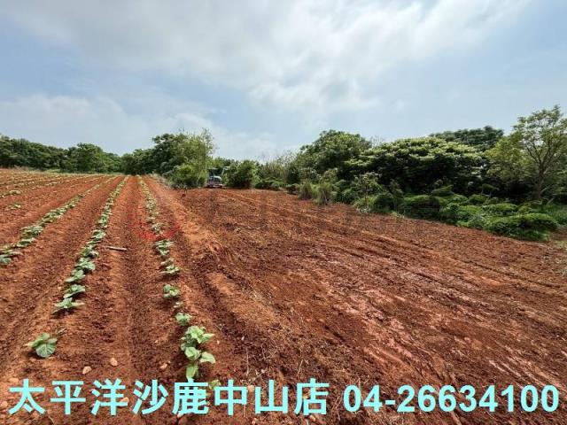 沙鹿保護地-5