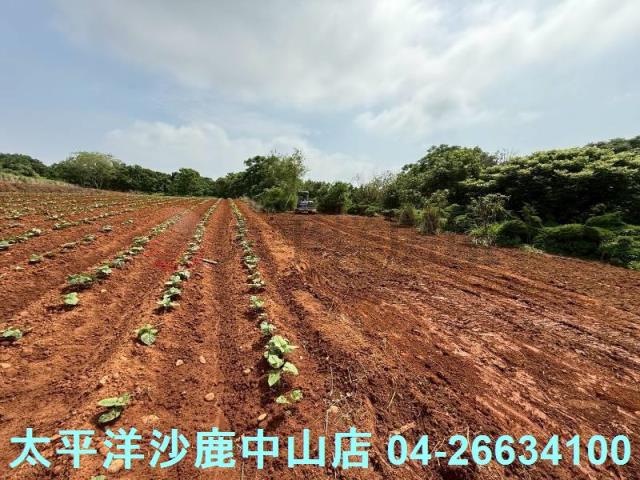沙鹿保護地-6