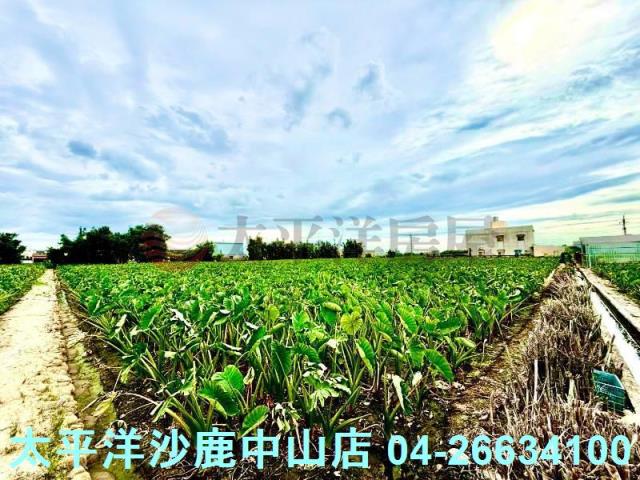 台中大甲農地-0