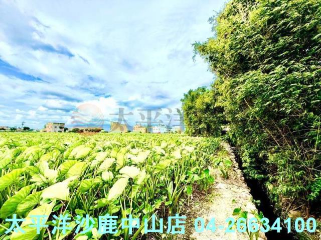 台中大甲農地-2