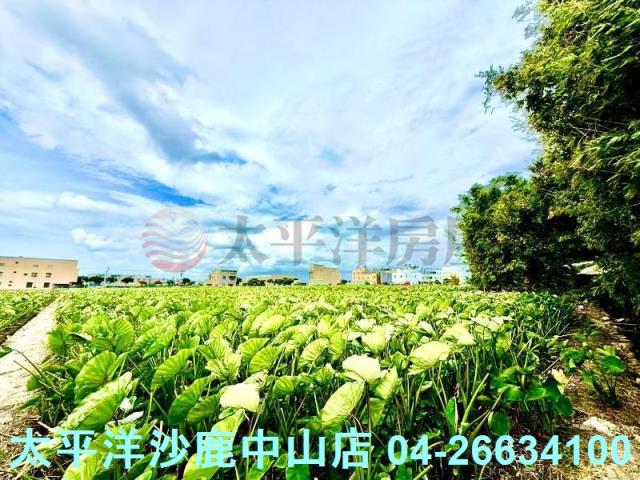 台中大甲農地-4