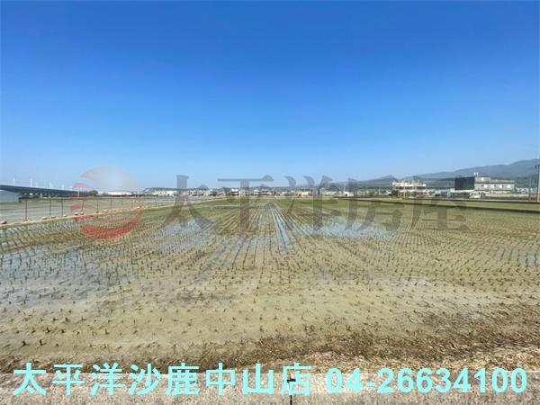 苗栗苑裡農地-0