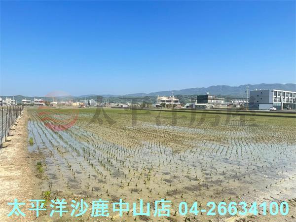 苗栗苑裡農地-2
