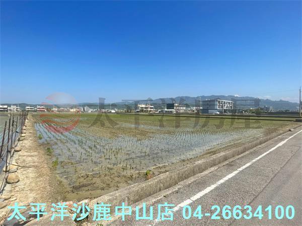 苗栗苑裡農地-5