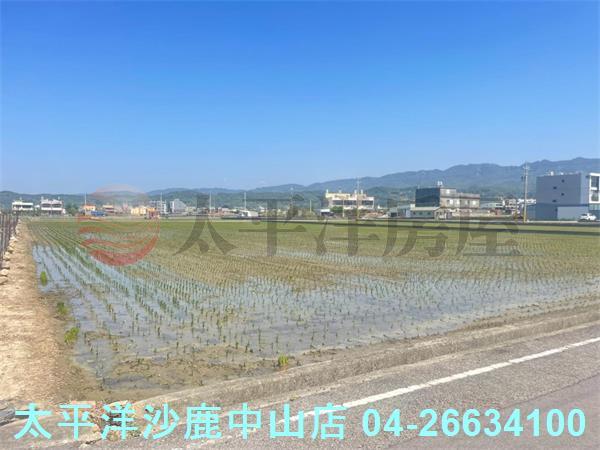苗栗苑裡農地-6