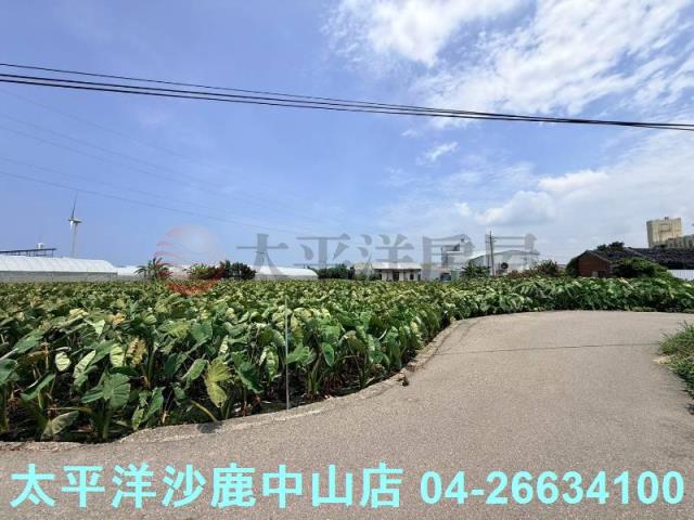 台中大甲農地-9