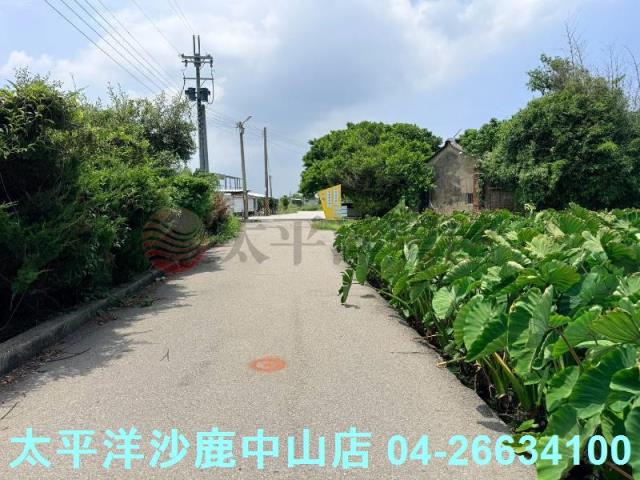 台中大甲農地-5